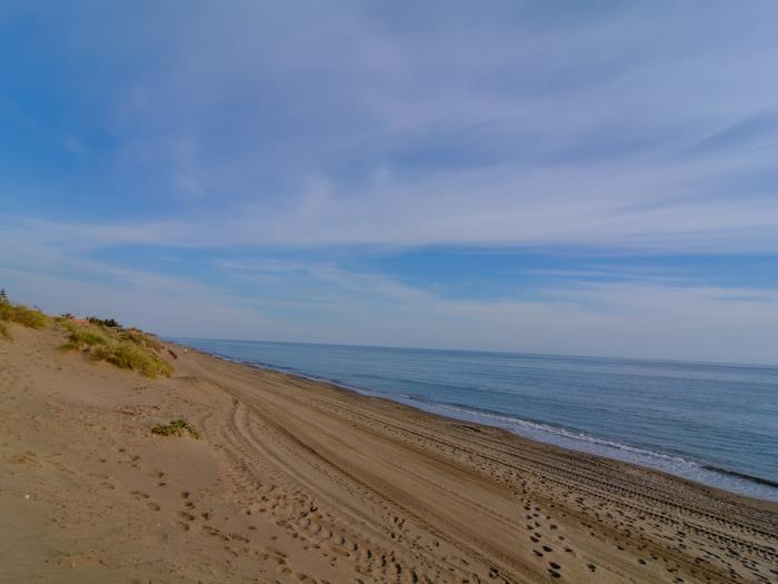 The beach Playa el Alicate at 1 minute walking