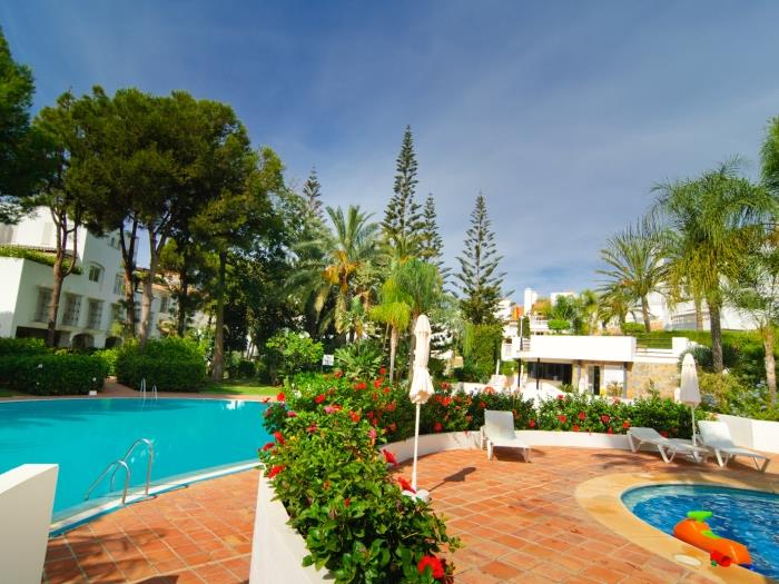 Pools placed in the middle of the development