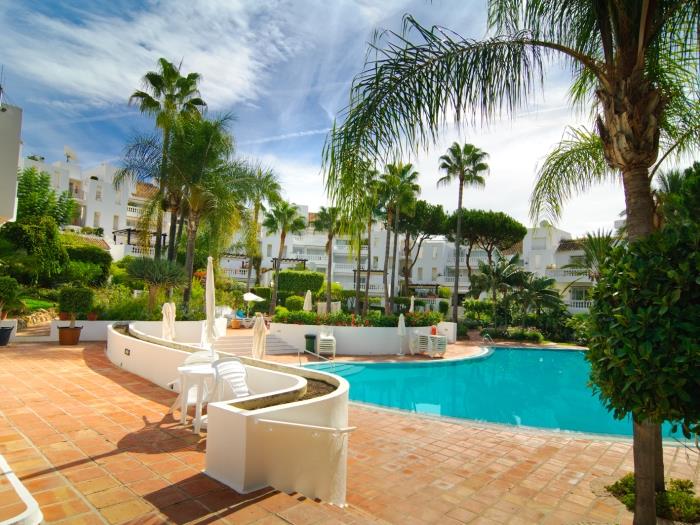 Pools placed in the middle of the development
