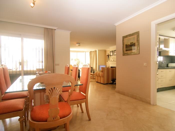 Large living room with dining and lounge area