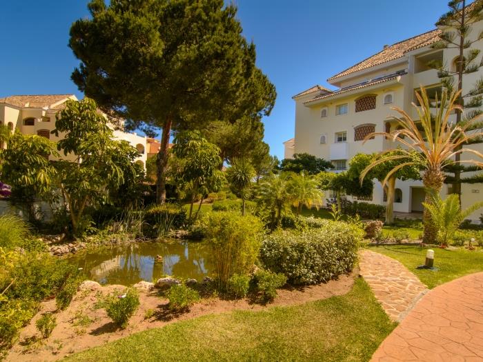 Sub tropical vegetation and manicured gardens
