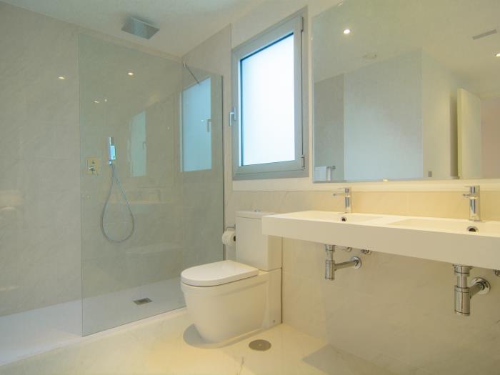 Double sink, walk in shower, toilet and window