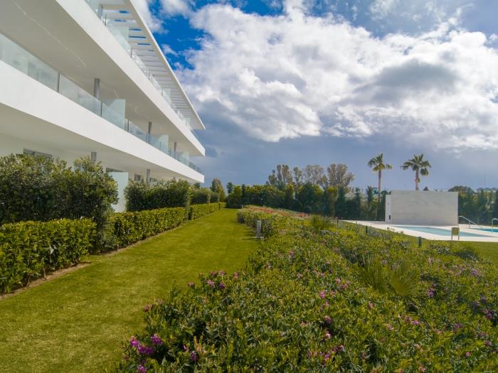 Manicured garden and exotic palm trees
