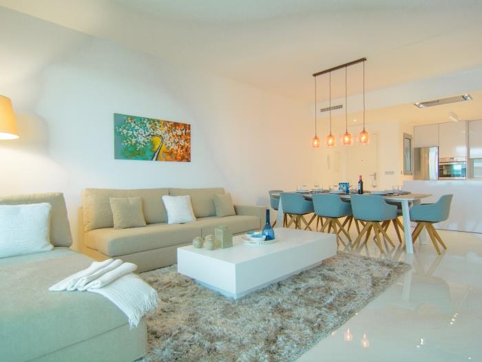 Sitting area with sofas, coffee table and carpet