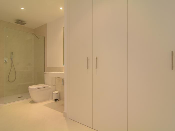 Double sink, walk in shower, toilet and window