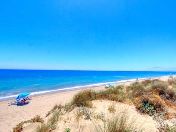1176 Beach front House, 2 pools and Garden area