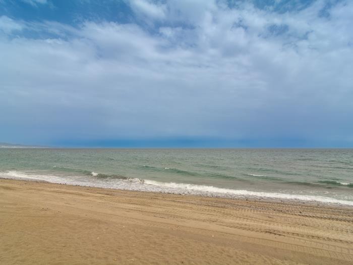 Guadalmina beach has had the Blue Flag award since 1992 thanks to its excellent water